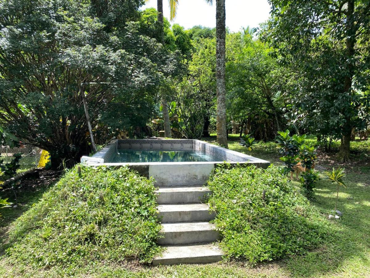 Nanda Parbat Hostal San Rafael Cedros Exterior foto